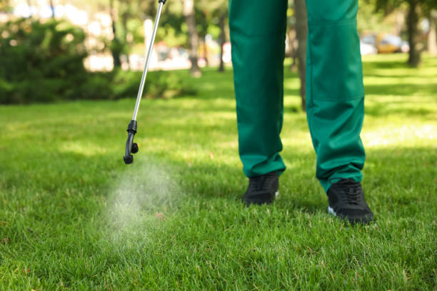 Flea Control Services in Elburn, IL