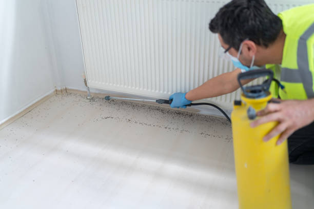 Best Wasp Removal Services  in Elburn, IL