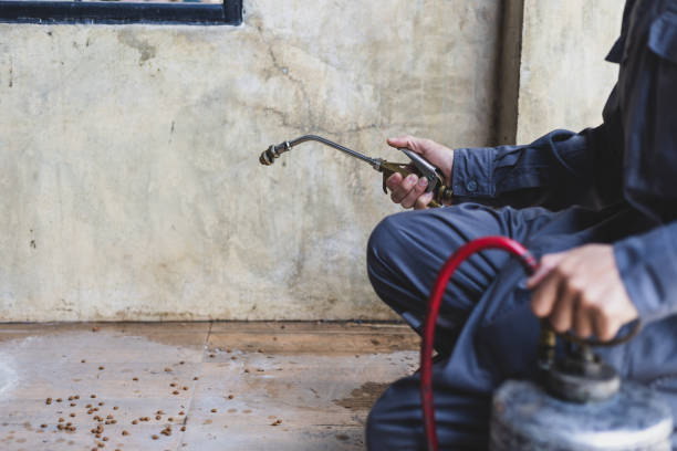 Best Rat Extermination Near Me  in Elburn, IL